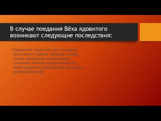 В случае поедания Вёха ядовитого возникают следующие последствия: Появление горечи во рту и