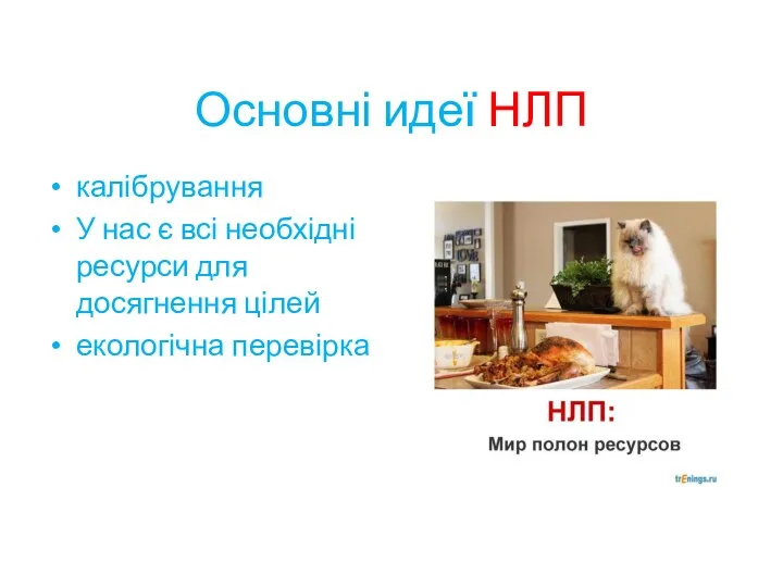 Основні идеї НЛП калібрування У нас є всі необхідні ресурси для досягнення цілей екологічна перевірка