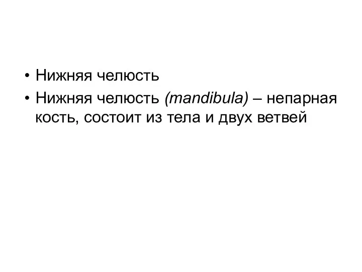 Нижняя челюсть Нижняя челюсть (mandibula) – непарная кость, состоит из тела и двух ветвей