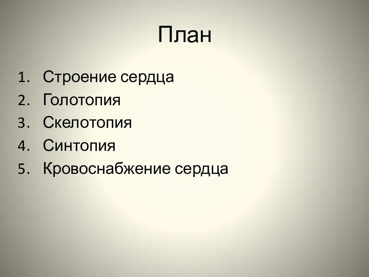 План Строение сердца Голотопия Скелотопия Синтопия Кровоснабжение сердца