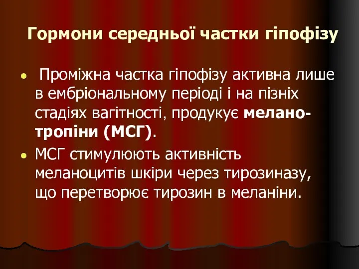 Гормони середньої частки гіпофізу Проміжна частка гіпофізу активна лише в