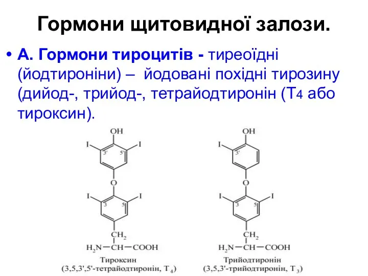 Гормони щитовидної залози. А. Гормони тироцитів - тиреоїдні (йодтироніни) –