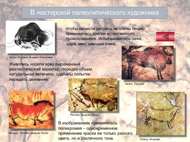 В мастерской палеолитического художника Чтобы нанести роспись на стены пещер,