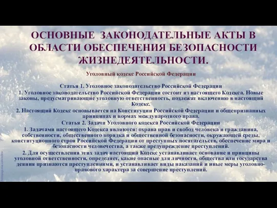 ОСНОВНЫЕ ЗАКОНОДАТЕЛЬНЫЕ АКТЫ В ОБЛАСТИ ОБЕСПЕЧЕНИЯ БЕЗОПАСНОСТИ ЖИЗНЕДЕЯТЕЛЬНОСТИ. Уголовный кодекс