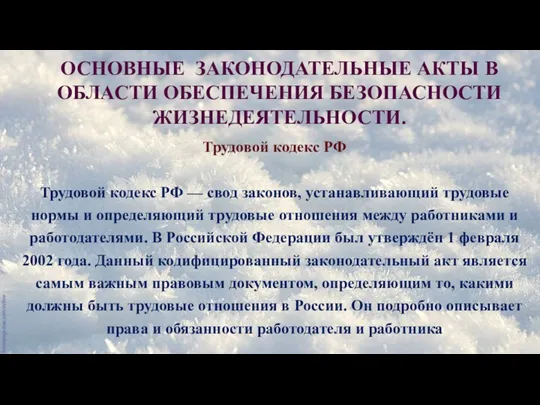 ОСНОВНЫЕ ЗАКОНОДАТЕЛЬНЫЕ АКТЫ В ОБЛАСТИ ОБЕСПЕЧЕНИЯ БЕЗОПАСНОСТИ ЖИЗНЕДЕЯТЕЛЬНОСТИ. Трудовой кодекс