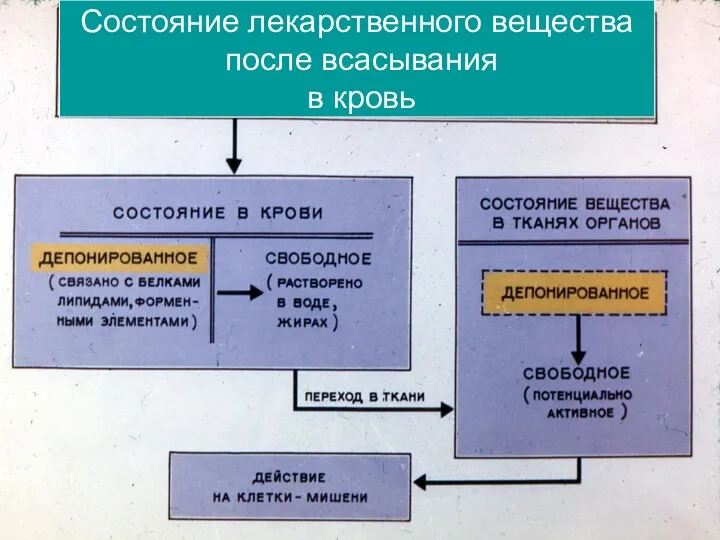 Состояние лекарственного вещества после всасывания в кровь