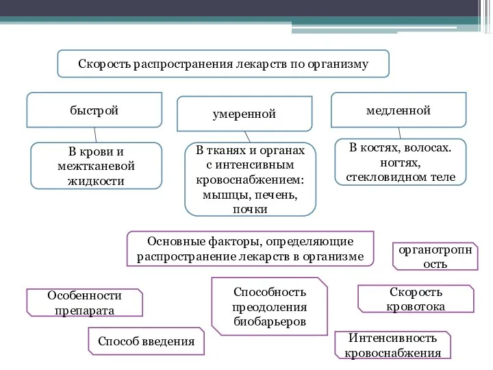 Скорость распространения лекарств по организму быстрой умеренной медленной В крови