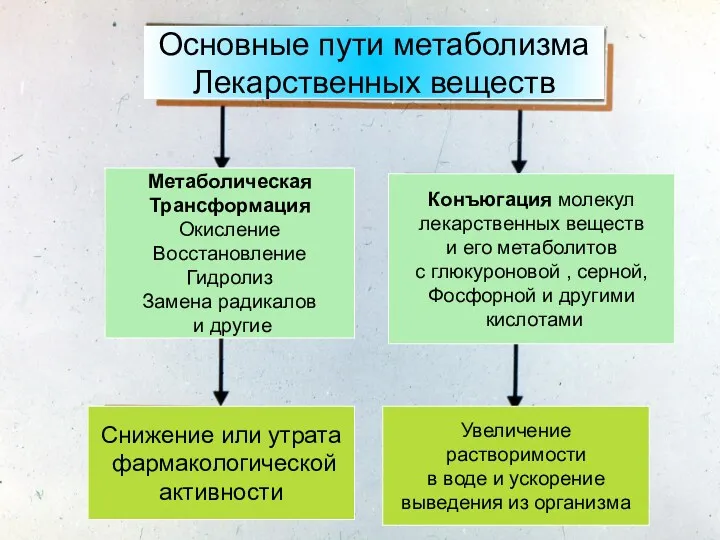 Основные пути метаболизма Лекарственных веществ Метаболическая Трансформация Окисление Восстановление Гидролиз