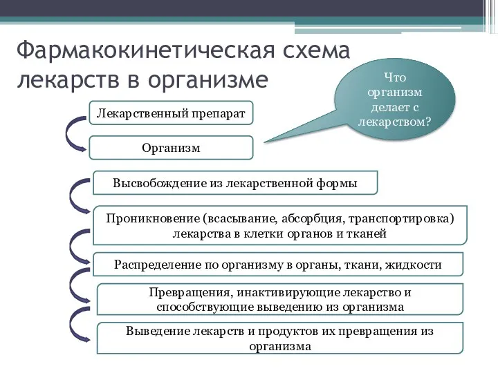 Фармакокинетическая схема лекарств в организме Лекарственный препарат Организм Высвобождение из