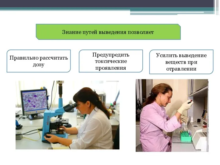 Знание путей выведения позволяет Правильно рассчитать дозу Усилить выведение веществ при отравлении Предупредить токсические проявления