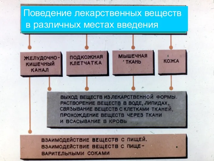 Поведение лекарственных веществ в различных местах введения