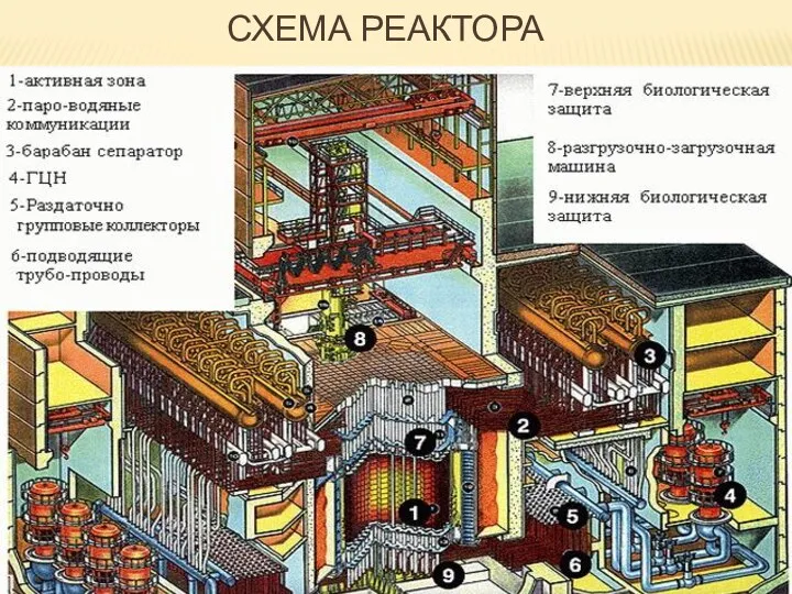 СХЕМА РЕАКТОРА