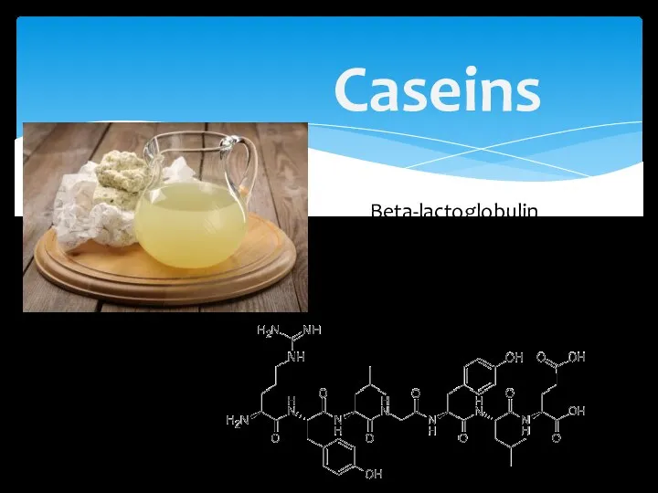 Casein formula Caseins Beta-lactoglobulin and Alpha-lactalbumin