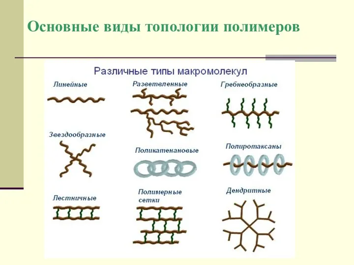 Основные виды топологии полимеров