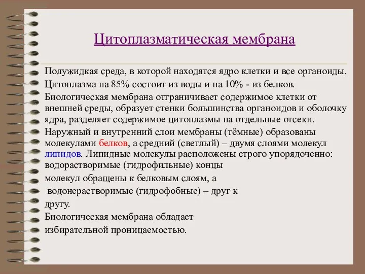 Цитоплазматическая мембрана Полужидкая среда, в которой находятся ядро клетки и