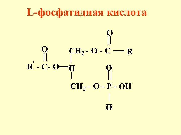 L-фосфатидная кислота