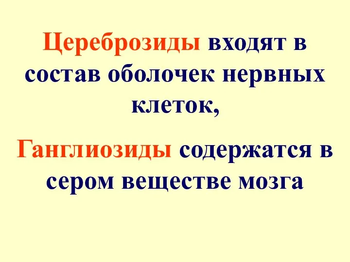 Цереброзиды входят в состав оболочек нервных клеток, Ганглиозиды содержатся в сером веществе мозга