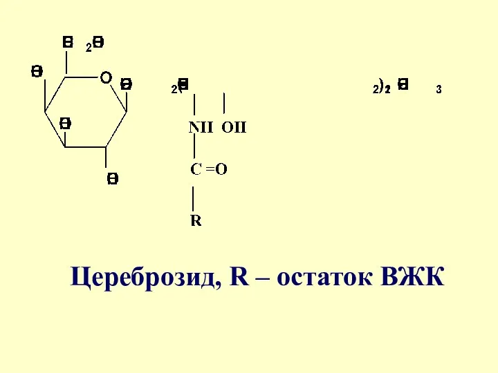 Цереброзид, R – остаток ВЖК