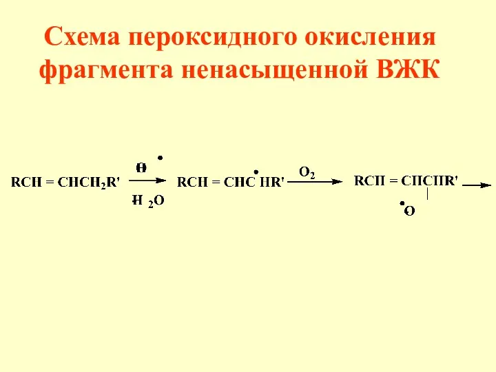 Схема пероксидного окисления фрагмента ненасыщенной ВЖК