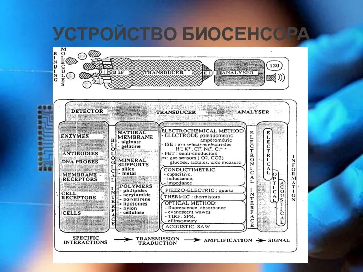 УСТРОЙСТВО БИОСЕНСОРА