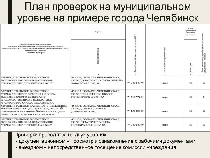 План проверок на муниципальном уровне на примере города Челябинск Проверки
