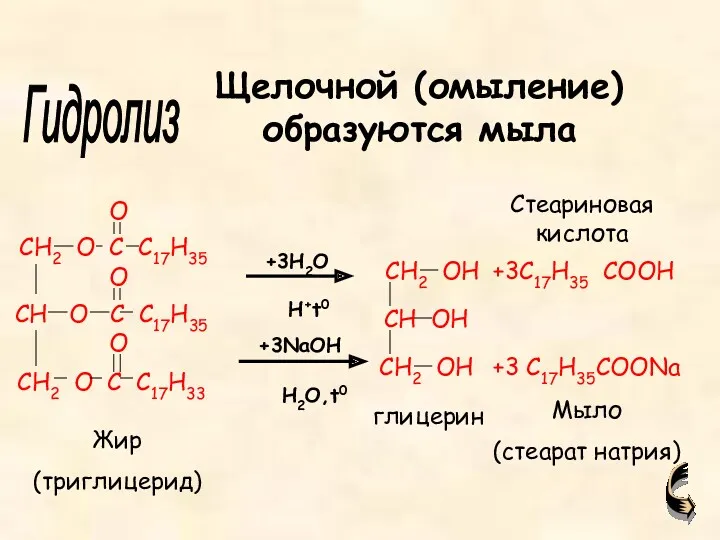 +3C17H35 COOH +3 C17H35COONa Жир (триглицерид) глицерин Мыло (стеарат натрия)
