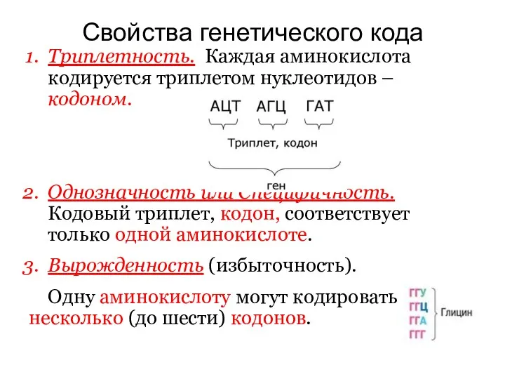 Свойства генетического кода Триплетность. Каждая аминокислота кодируется триплетом нуклеотидов –