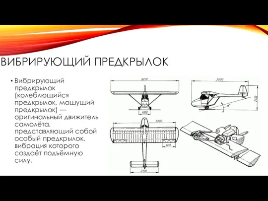 ВИБРИРУЮЩИЙ ПРЕДКРЫЛОК Вибрирующий предкрылок (колеблющийся предкрылок, машущий предкрылок) — оригинальный