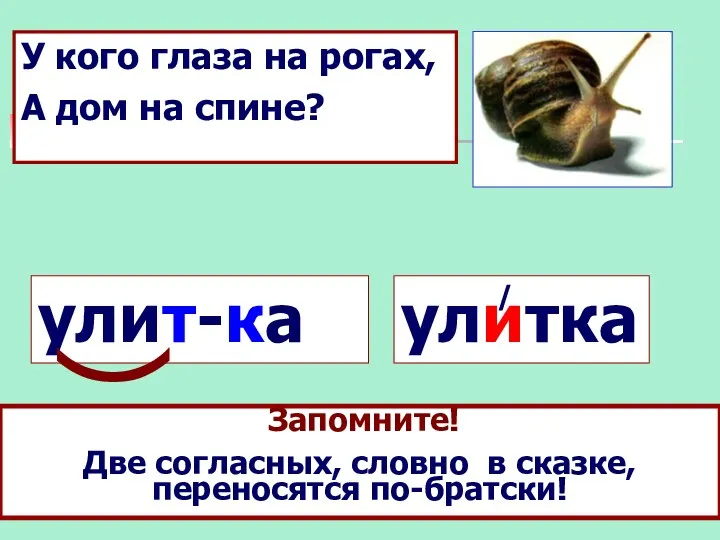 У кого глаза на рогах, А дом на спине? улитка / Какое правило