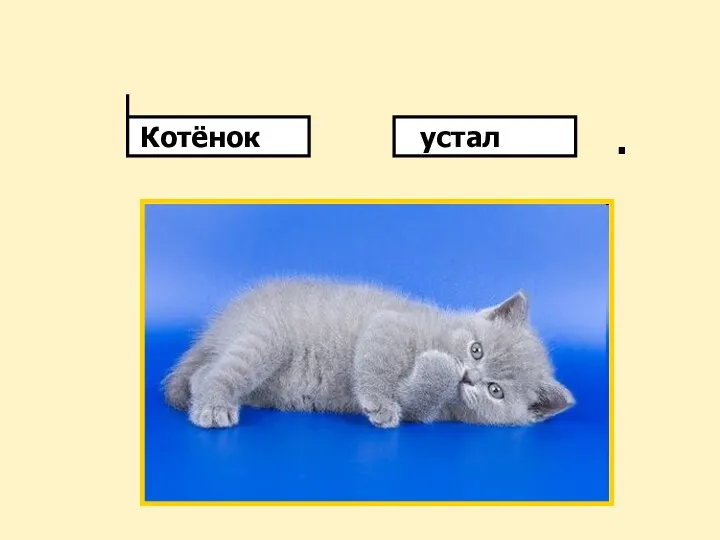 . Котёнок устал