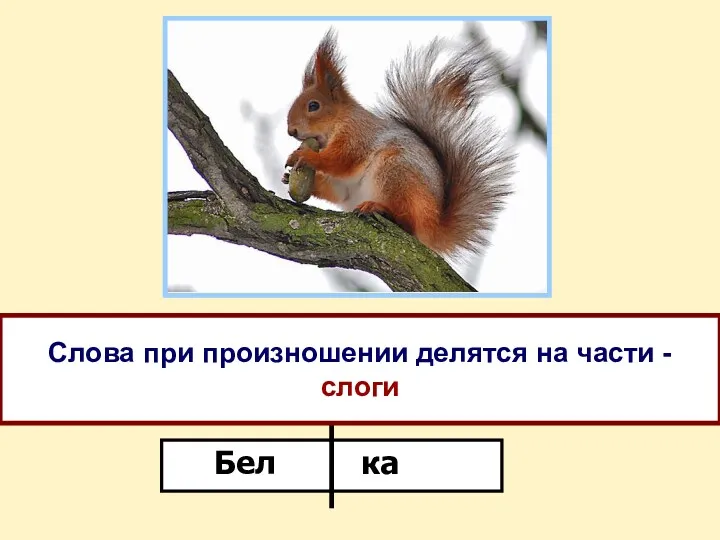 Произнесите слово «белка». Сколько частей в слове? Назовите первую и вторую часть слова.