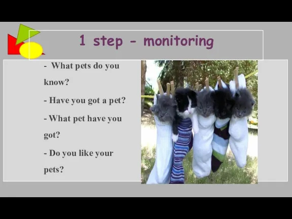 1 step - monitoring - What pets do you know?