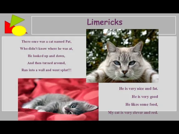 Limericks There once was a cat named Pat, Who didn't