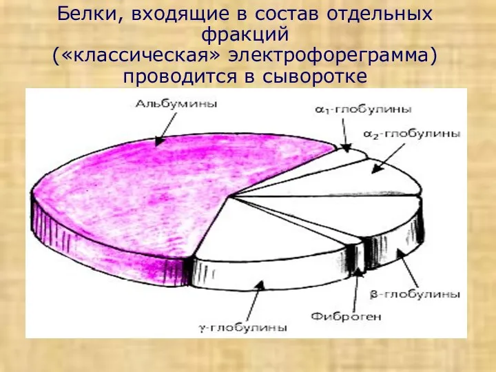 Белки, входящие в состав отдельных фракций («классическая» электрофореграмма) проводится в сыворотке