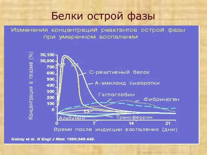 Белки острой фазы