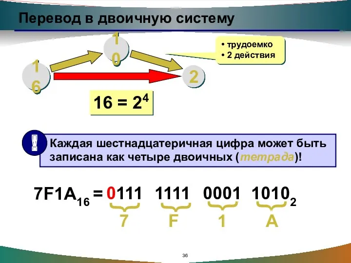 Перевод в двоичную систему 16 10 2 трудоемко 2 действия 16 = 24