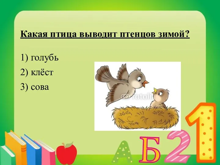 Какая птица выводит птенцов зимой? 1) голубь 2) клёст 3) сова