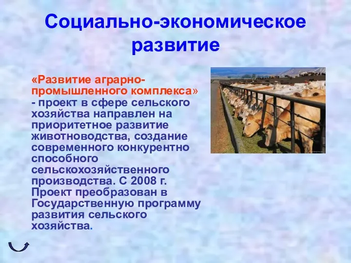 Социально-экономическое развитие «Развитие аграрно-промышленного комплекса» - проект в сфере сельского