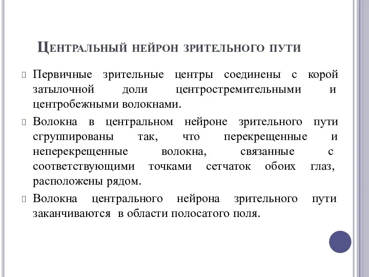 Центральный нейрон зрительного пути Первичные зрительные центры соединены с корой