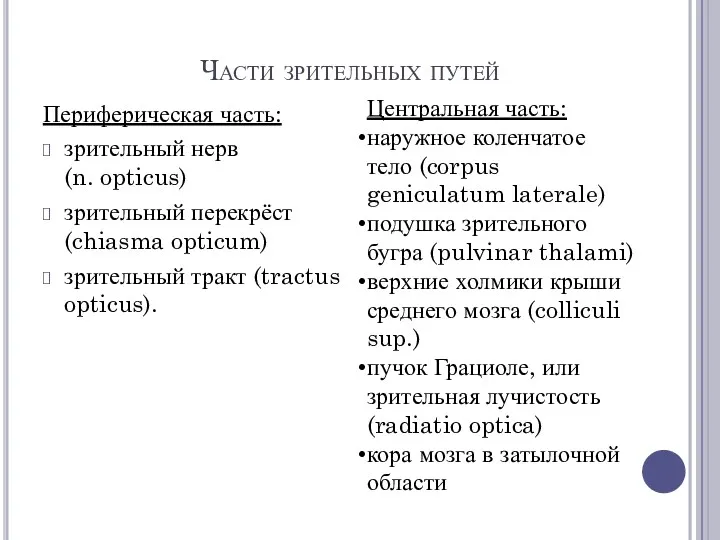 Части зрительных путей Периферическая часть: зрительный нерв (n. opticus) зрительный перекрёст (chiasma opticum)
