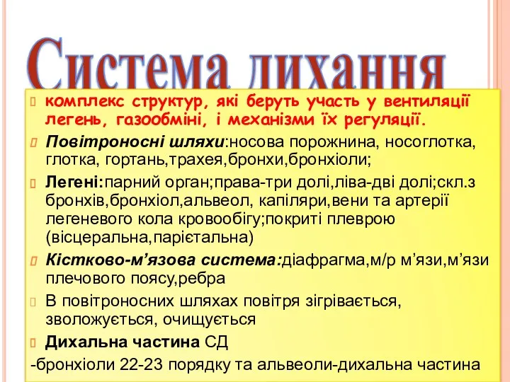 Система дихання комплекс структур, які беруть участь у вентиляції легень,