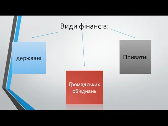 Види фінансів: державні Громадських об’єднань Приватні