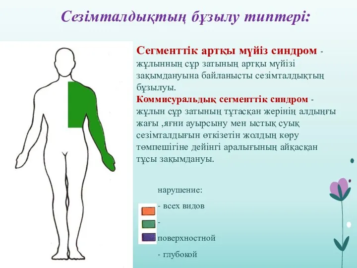 Сезімталдықтың бұзылу типтері: Сегменттік артқы мүйіз синдром -жұлынның сұр затының артқы мүйізі зақымдануына