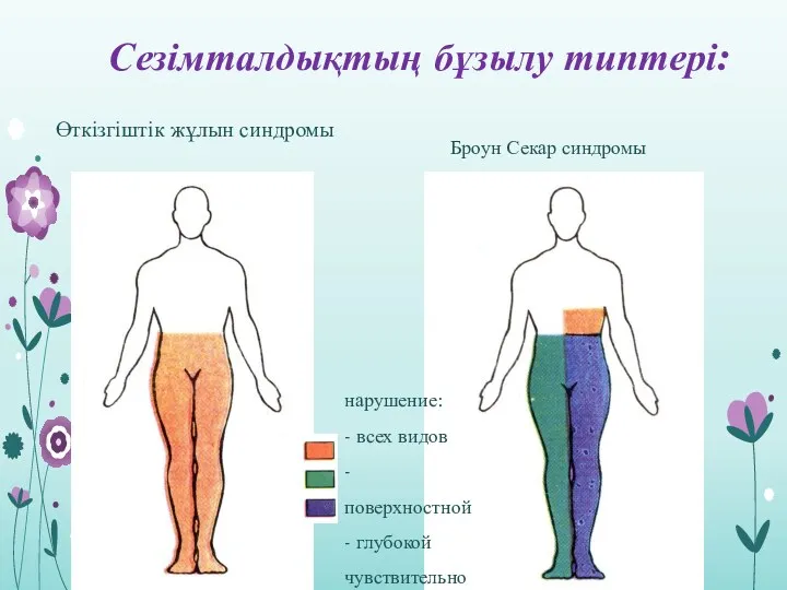 Өткізгіштік жұлын синдромы Сезімталдықтың бұзылу типтері: Броун Секар синдромы
