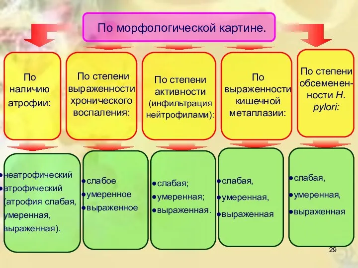 По морфологической картине. По наличию атрофии: неатрофический атрофический (атрофия слабая,