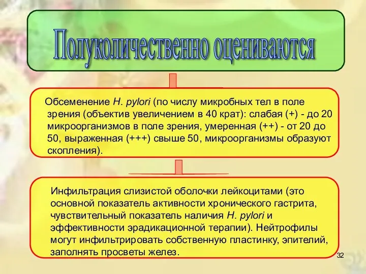 Полуколичественно оцениваются Обсеменение Н. pylori (по числу микробных тел в