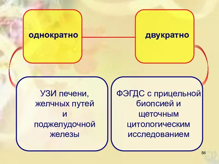 однократно УЗИ печени, желчных путей и поджелудочной железы двукратно ФЭГДС