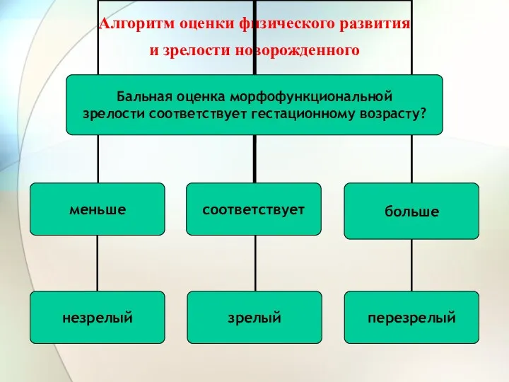 Алгоритм оценки физического развития и зрелости новорожденного