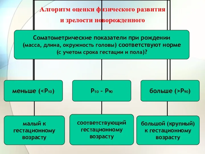 Алгоритм оценки физического развития и зрелости новорожденного