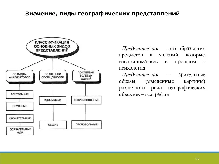 Представления — это образы тех предметов и явлений, которые воспринимались